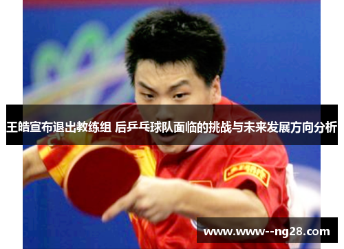 王皓宣布退出教练组 后乒乓球队面临的挑战与未来发展方向分析